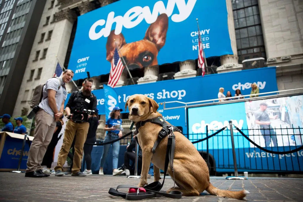 Success story of Chewy Success story of Chewy